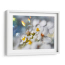 Joyas Del Bosque Encantado Iii - Gillian Hunt | Cuadro decorativo de Canvas Lab