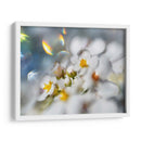 Joyas Del Bosque Encantado Iii - Gillian Hunt | Cuadro decorativo de Canvas Lab