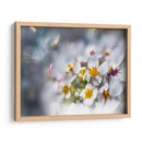 Joyas Del Bosque Encantado Iv - Gillian Hunt | Cuadro decorativo de Canvas Lab