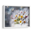 Joyas Del Bosque Encantado Iv - Gillian Hunt | Cuadro decorativo de Canvas Lab