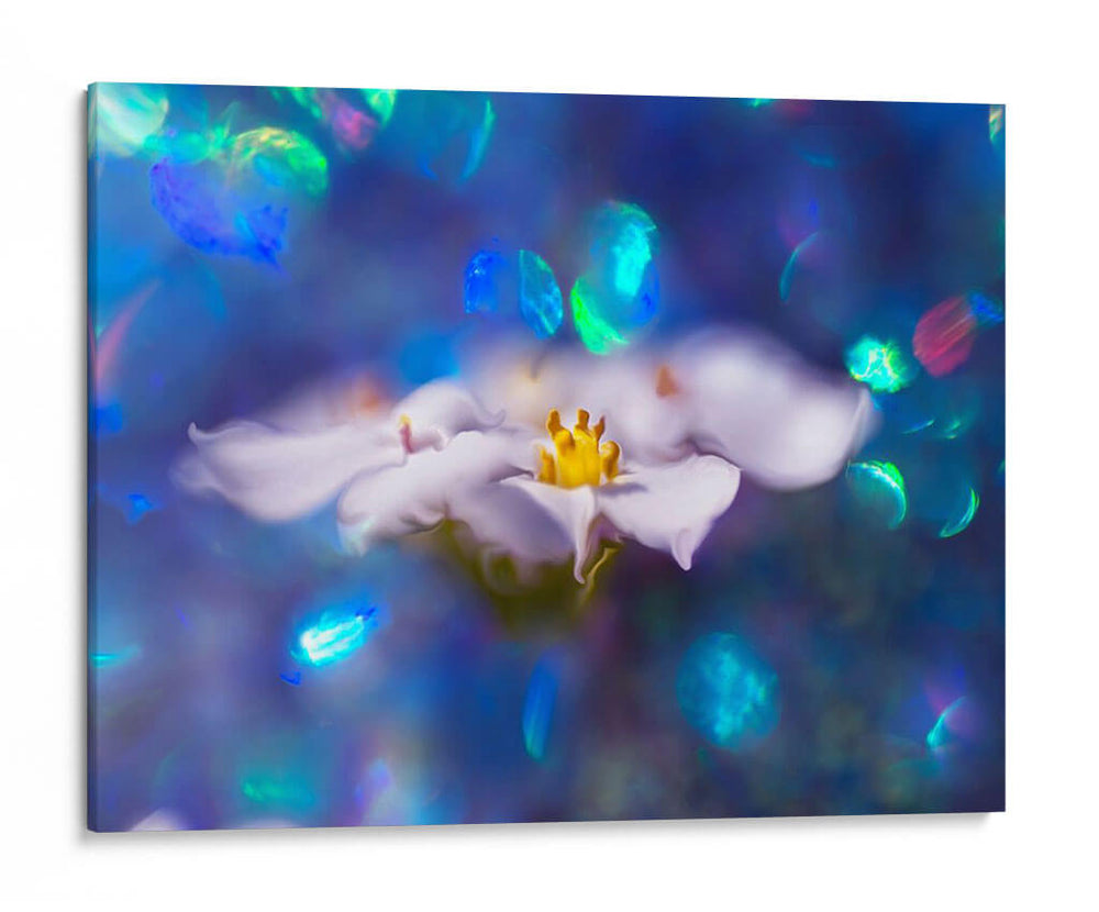 Joyas Del Bosque Encantado Vi - Gillian Hunt | Cuadro decorativo de Canvas Lab