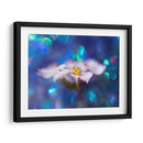 Joyas Del Bosque Encantado Vi - Gillian Hunt | Cuadro decorativo de Canvas Lab