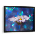 Joyas Del Bosque Encantado Vi - Gillian Hunt | Cuadro decorativo de Canvas Lab