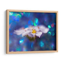 Joyas Del Bosque Encantado Vi - Gillian Hunt | Cuadro decorativo de Canvas Lab