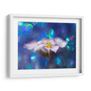 Joyas Del Bosque Encantado Vi - Gillian Hunt | Cuadro decorativo de Canvas Lab