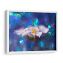 Joyas Del Bosque Encantado Vi - Gillian Hunt | Cuadro decorativo de Canvas Lab