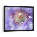 Corazón De La Camelia I - Gillian Hunt | Cuadro decorativo de Canvas Lab