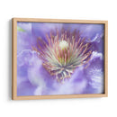 Corazón De La Camelia I - Gillian Hunt | Cuadro decorativo de Canvas Lab