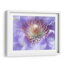 Corazón De La Camelia I - Gillian Hunt | Cuadro decorativo de Canvas Lab