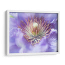 Corazón De La Camelia I - Gillian Hunt | Cuadro decorativo de Canvas Lab