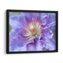 Corazón De La Camelia Ii - Gillian Hunt | Cuadro decorativo de Canvas Lab