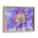 Corazón De La Camelia Ii - Gillian Hunt | Cuadro decorativo de Canvas Lab