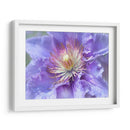 Corazón De La Camelia Ii - Gillian Hunt | Cuadro decorativo de Canvas Lab