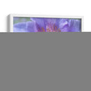 Corazón De La Camelia Ii - Gillian Hunt | Cuadro decorativo de Canvas Lab