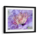 Corazón De La Camelia Iii - Gillian Hunt | Cuadro decorativo de Canvas Lab