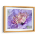 Corazón De La Camelia Iii - Gillian Hunt | Cuadro decorativo de Canvas Lab