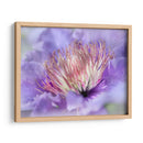 Corazón De La Camelia Iii - Gillian Hunt | Cuadro decorativo de Canvas Lab