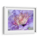 Corazón De La Camelia Iii - Gillian Hunt | Cuadro decorativo de Canvas Lab