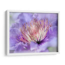 Corazón De La Camelia Iii - Gillian Hunt | Cuadro decorativo de Canvas Lab