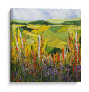 ¿Qué Tan Verde Es Mi Valle? - Allan Friedlander | Cuadro decorativo de Canvas Lab