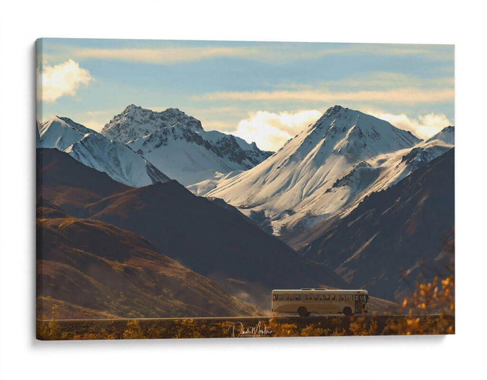Autobús en Denali Park - Omar Montero | Cuadro decorativo de Canvas Lab