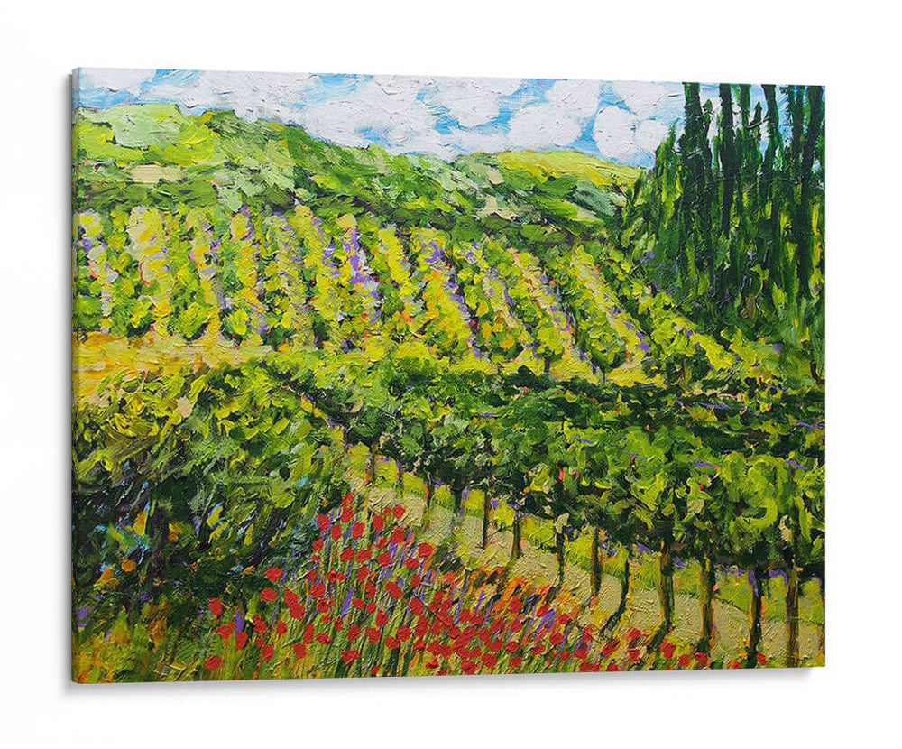 Viñedo De La Montaña - Allan Friedlander | Cuadro decorativo de Canvas Lab