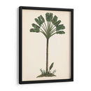 Estudio De Palmera I - Melissa Wang | Cuadro decorativo de Canvas Lab