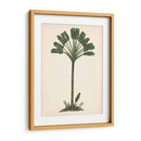 Estudio De Palmera I - Melissa Wang | Cuadro decorativo de Canvas Lab