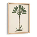 Estudio De Palmera I - Melissa Wang | Cuadro decorativo de Canvas Lab
