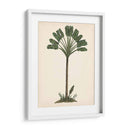 Estudio De Palmera I - Melissa Wang | Cuadro decorativo de Canvas Lab