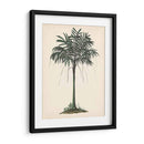 Estudio De Palmera Ii - Melissa Wang | Cuadro decorativo de Canvas Lab