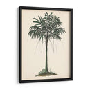 Estudio De Palmera Ii - Melissa Wang | Cuadro decorativo de Canvas Lab