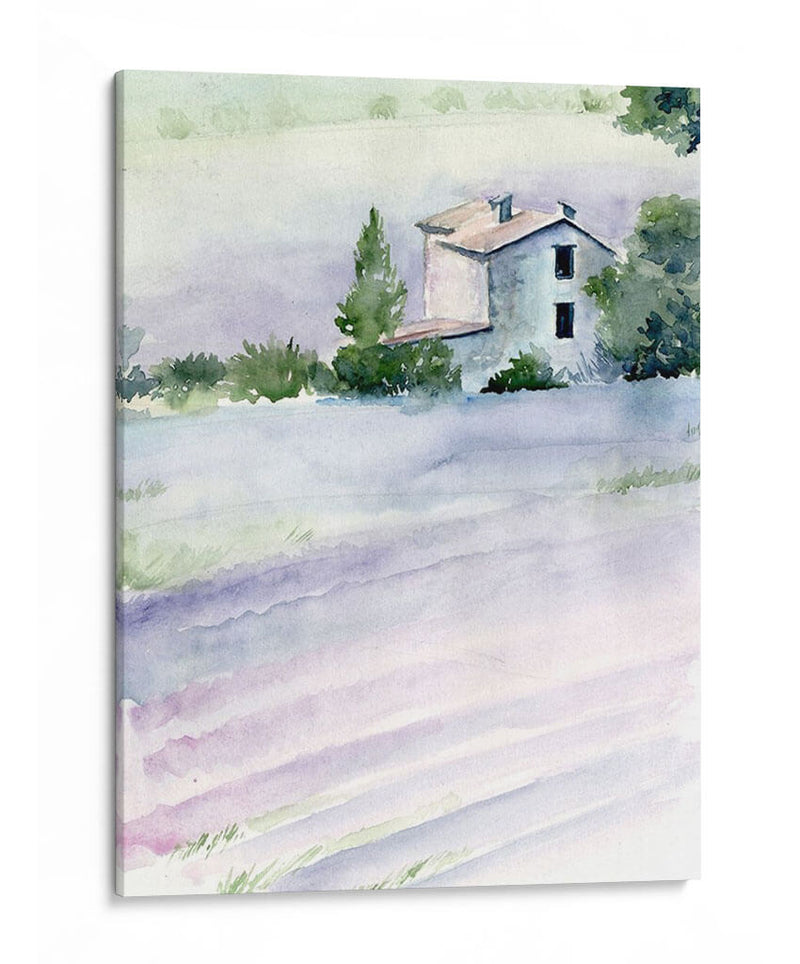 Campos De Lavanda Ii - Jennifer Paxton Parker | Cuadro decorativo de Canvas Lab