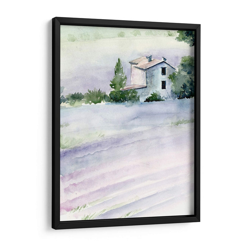 Campos De Lavanda Ii - Jennifer Paxton Parker | Cuadro decorativo de Canvas Lab