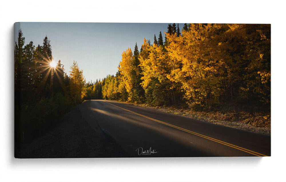 Otoño en Denali - Omar Montero | Cuadro decorativo de Canvas Lab