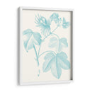 Estudio Botánico En Spa Iv - Vision Studio | Cuadro decorativo de Canvas Lab
