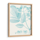 Estudio Botánico En Spa V - Vision Studio | Cuadro decorativo de Canvas Lab