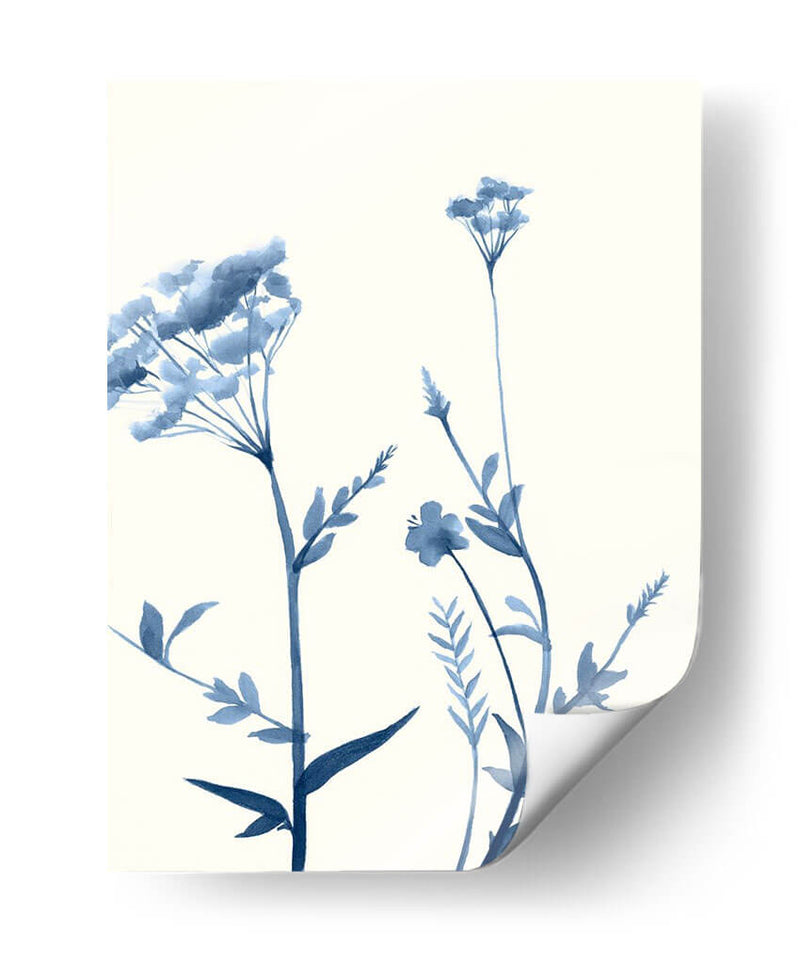 Indigo Wildflowers I - Jennifer Goldberger | Cuadro decorativo de Canvas Lab