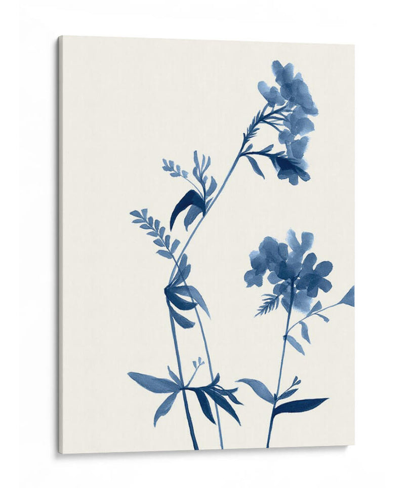 Indigo Wildflowers Ii - Jennifer Goldberger | Cuadro decorativo de Canvas Lab