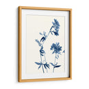 Indigo Wildflowers Ii - Jennifer Goldberger | Cuadro decorativo de Canvas Lab