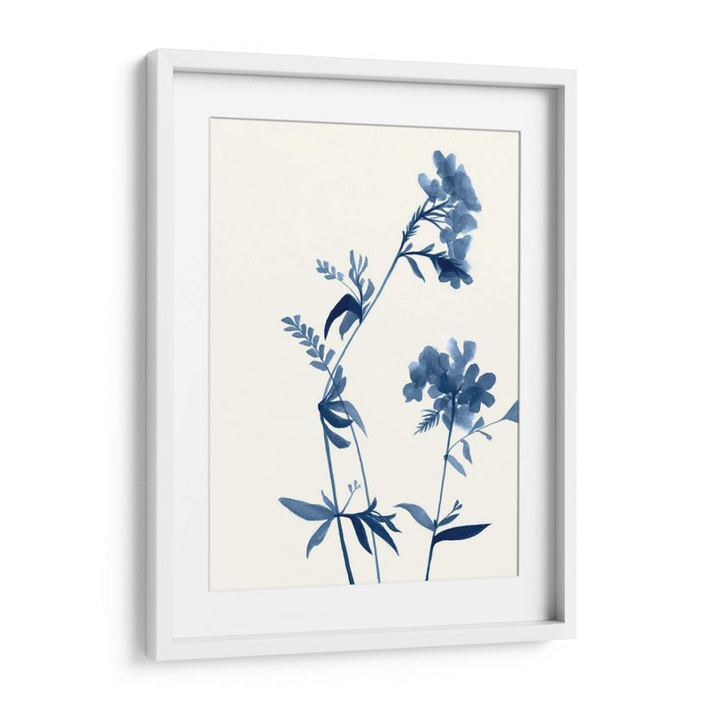 Indigo Wildflowers Ii - Jennifer Goldberger | Cuadro decorativo de Canvas Lab