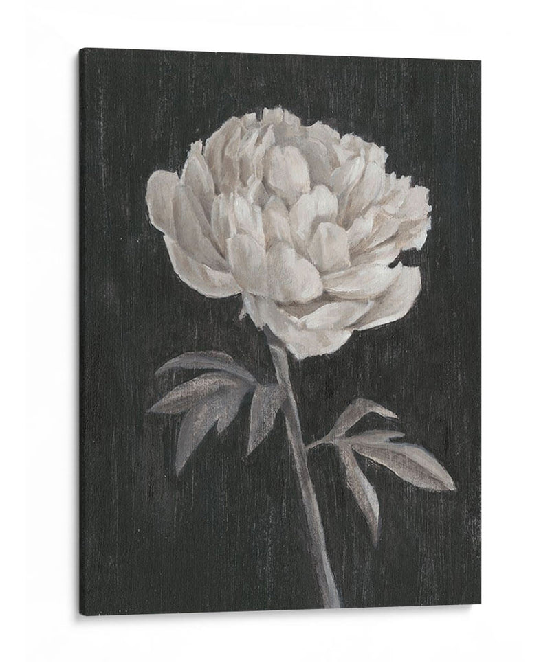 Flores En Blanco Y Negro I - Ethan Harper | Cuadro decorativo de Canvas Lab