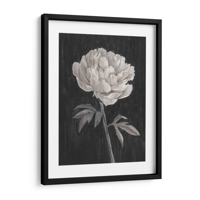 Flores En Blanco Y Negro I - Ethan Harper | Cuadro decorativo de Canvas Lab