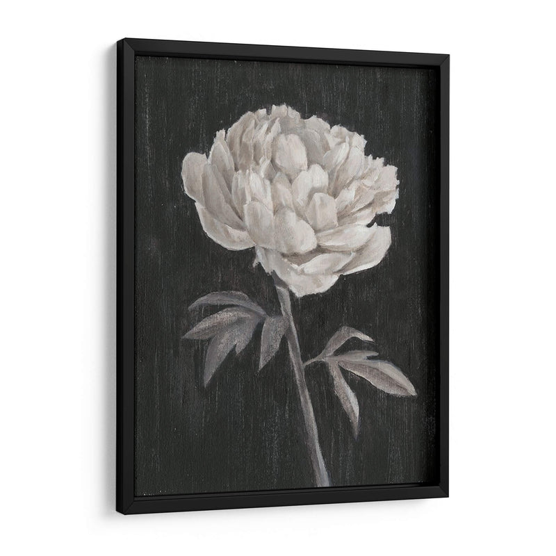 Flores En Blanco Y Negro I - Ethan Harper | Cuadro decorativo de Canvas Lab