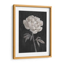 Flores En Blanco Y Negro I - Ethan Harper | Cuadro decorativo de Canvas Lab