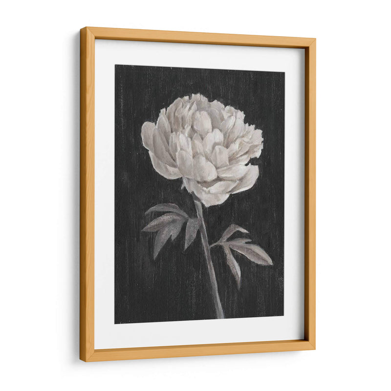 Flores En Blanco Y Negro I - Ethan Harper | Cuadro decorativo de Canvas Lab