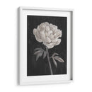 Flores En Blanco Y Negro I - Ethan Harper | Cuadro decorativo de Canvas Lab