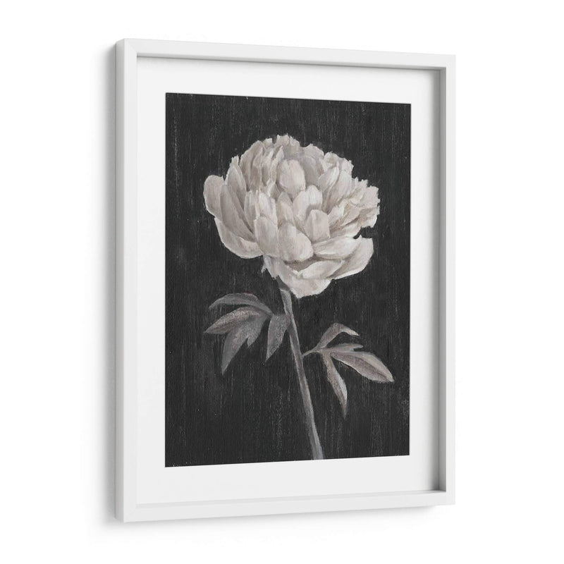 Flores En Blanco Y Negro I - Ethan Harper | Cuadro decorativo de Canvas Lab