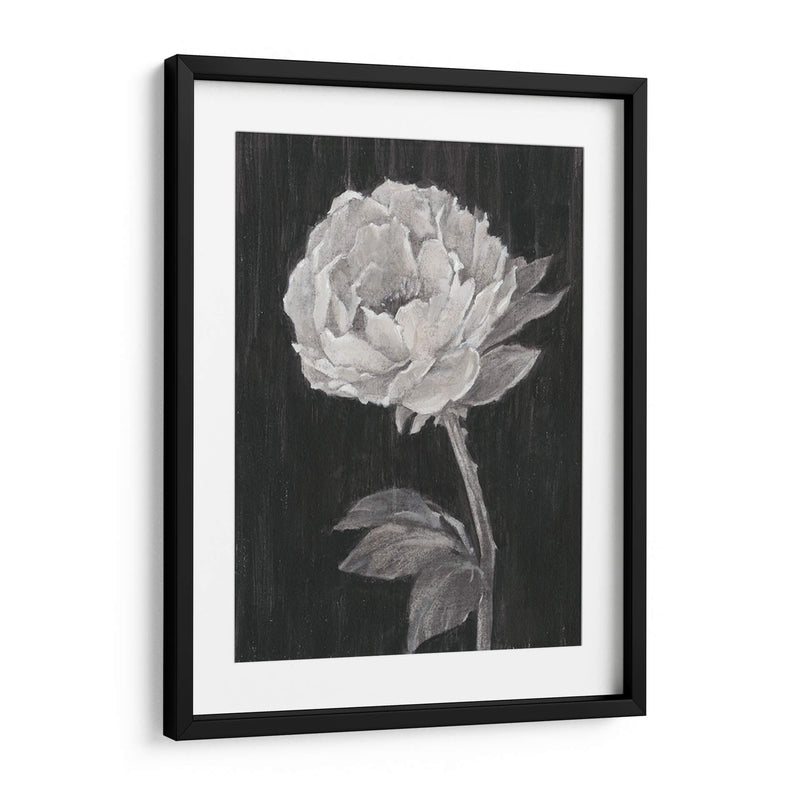 Flores En Blanco Y Negro Ii - Ethan Harper | Cuadro decorativo de Canvas Lab