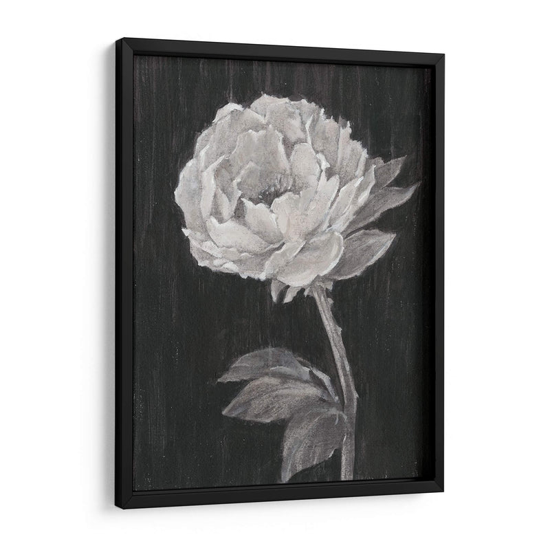 Flores En Blanco Y Negro Ii - Ethan Harper | Cuadro decorativo de Canvas Lab